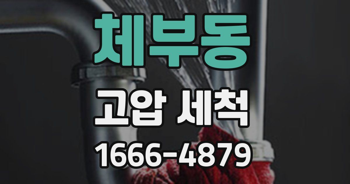 체부동 고압 세척