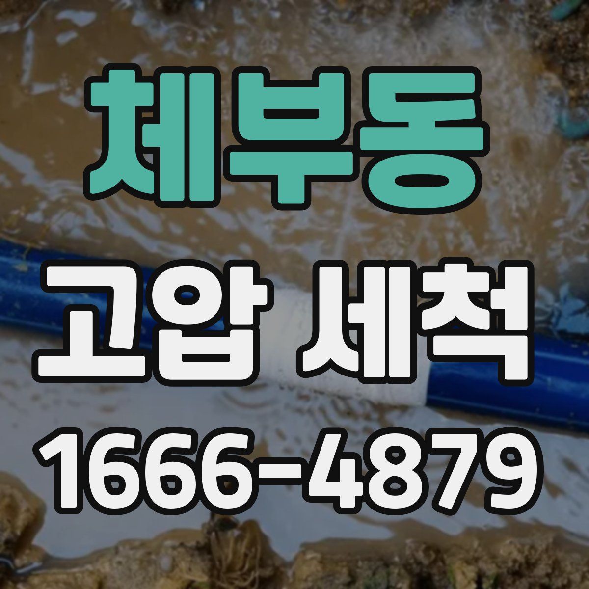 체부동 고압 세척