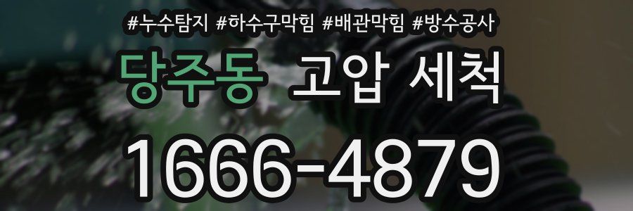 당주동 고압 세척