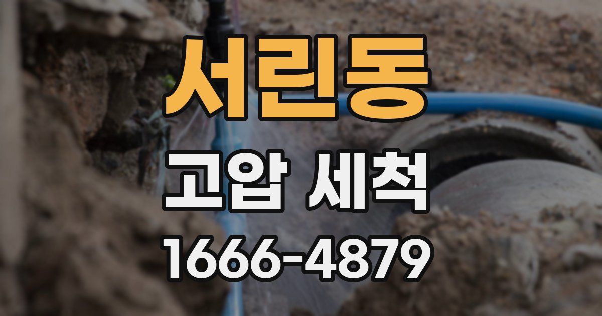서린동 고압 세척
