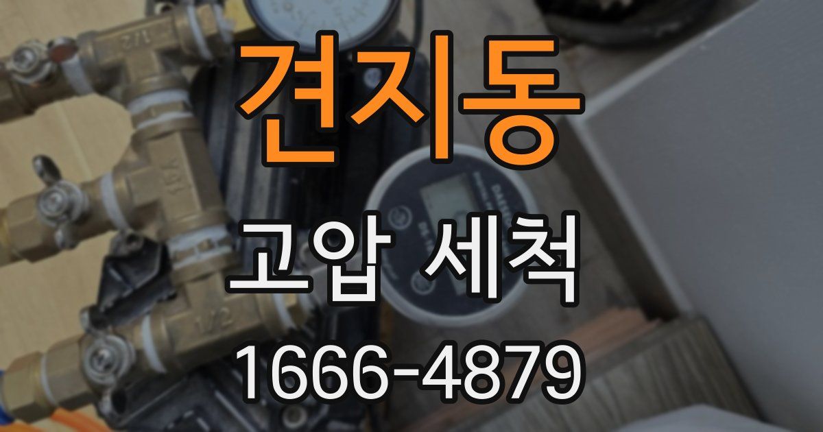 견지동 고압 세척