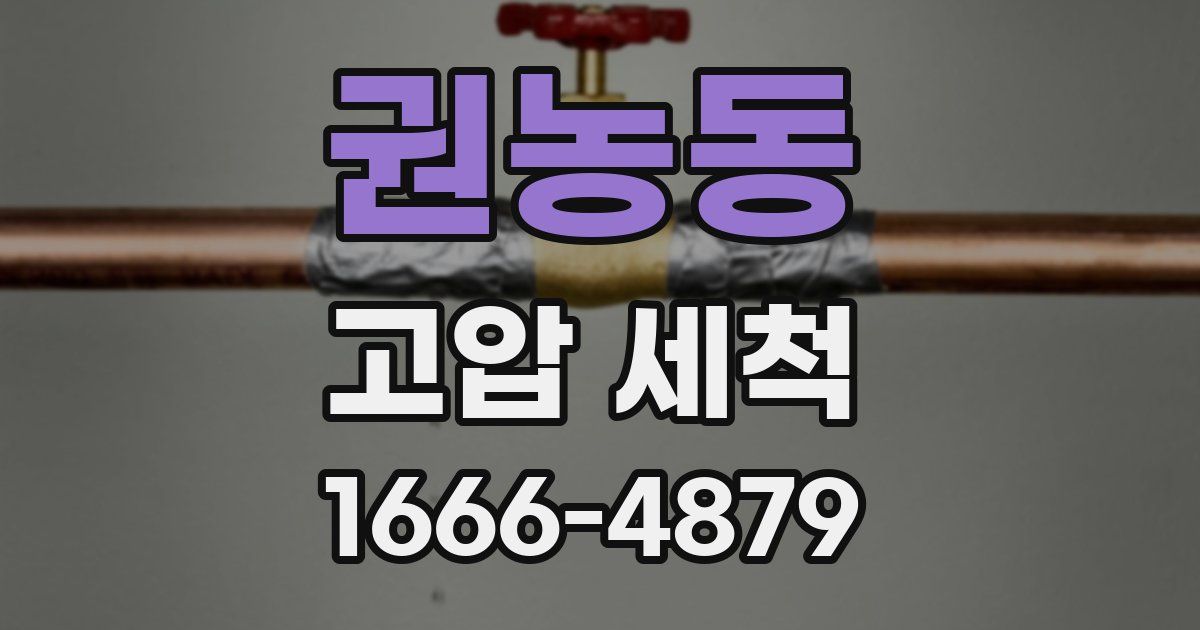 권농동 고압 세척