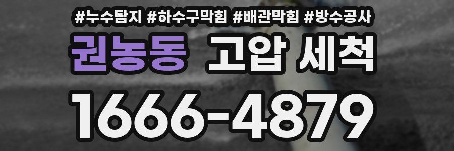 권농동 고압 세척
