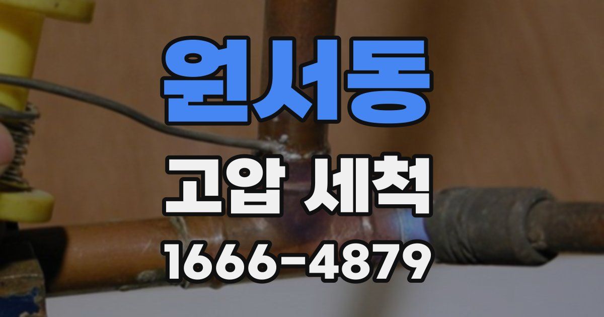 원서동 고압 세척