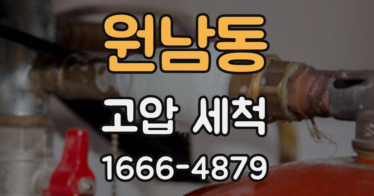 원남동 고압 세척