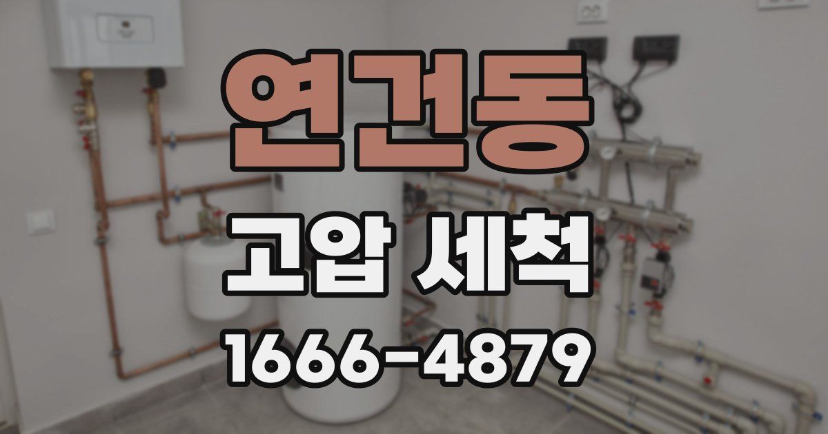 연건동 고압 세척