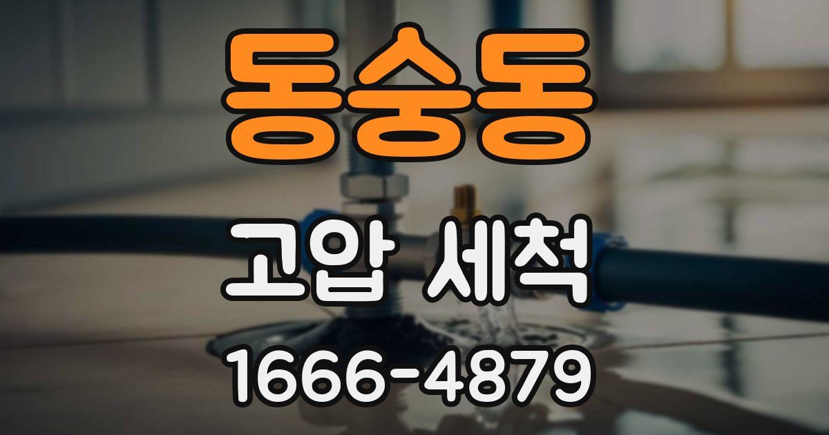 동숭동 고압 세척