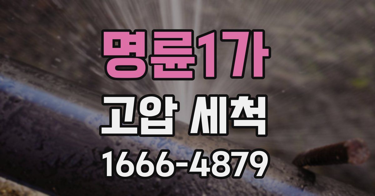 명륜1가 고압 세척
