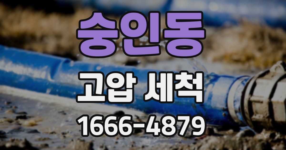 숭인동 고압 세척