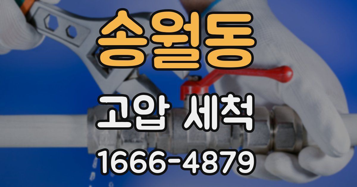 송월동 고압 세척