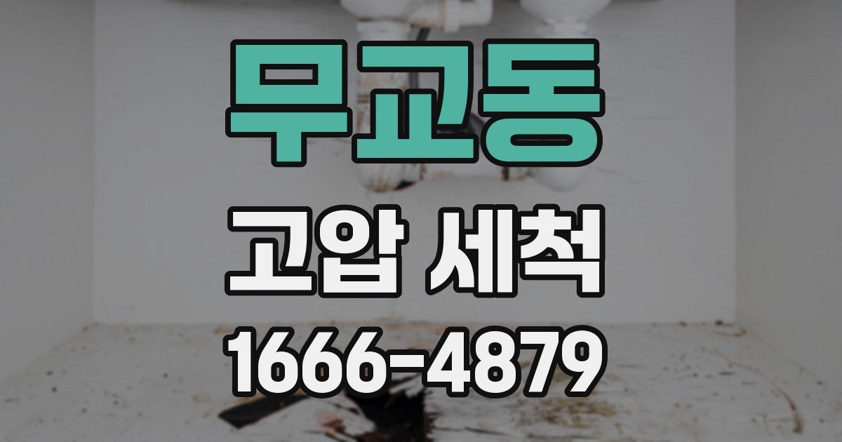 무교동 고압 세척