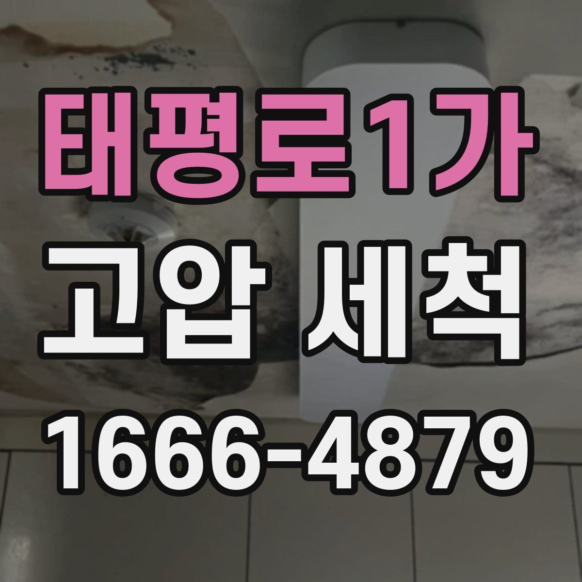 태평로1가 고압 세척