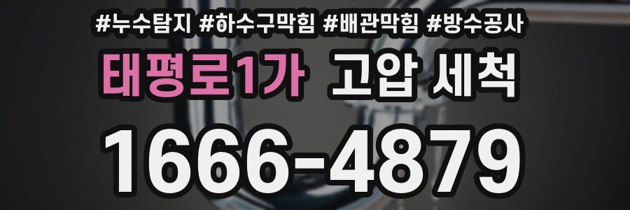 태평로1가 고압 세척