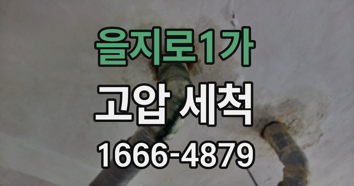 을지로1가 고압 세척