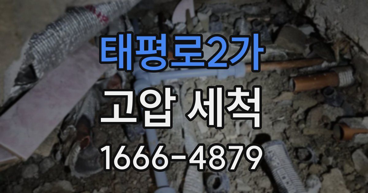 태평로2가 고압 세척