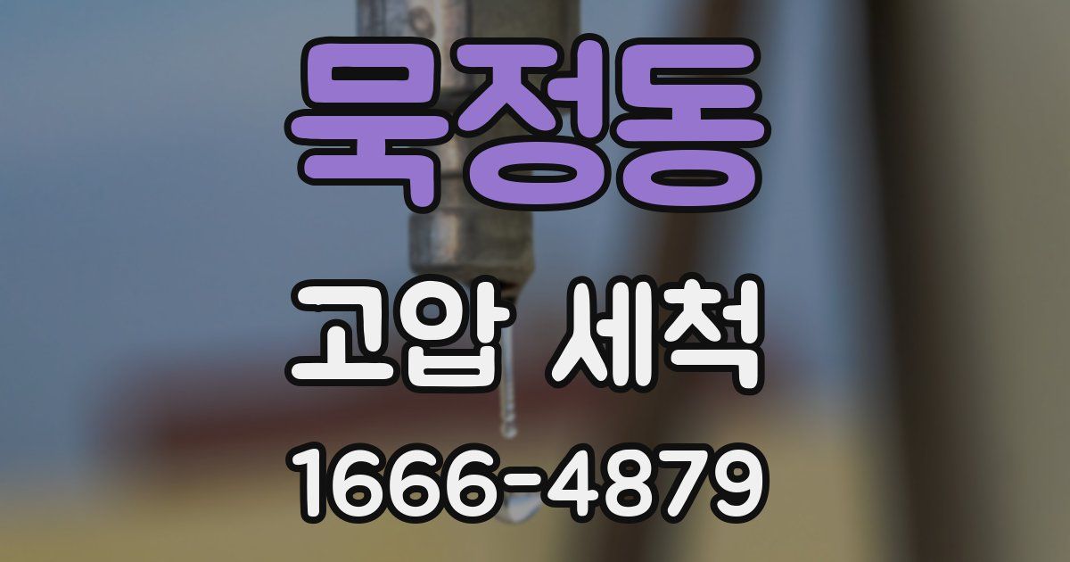 묵정동 고압 세척