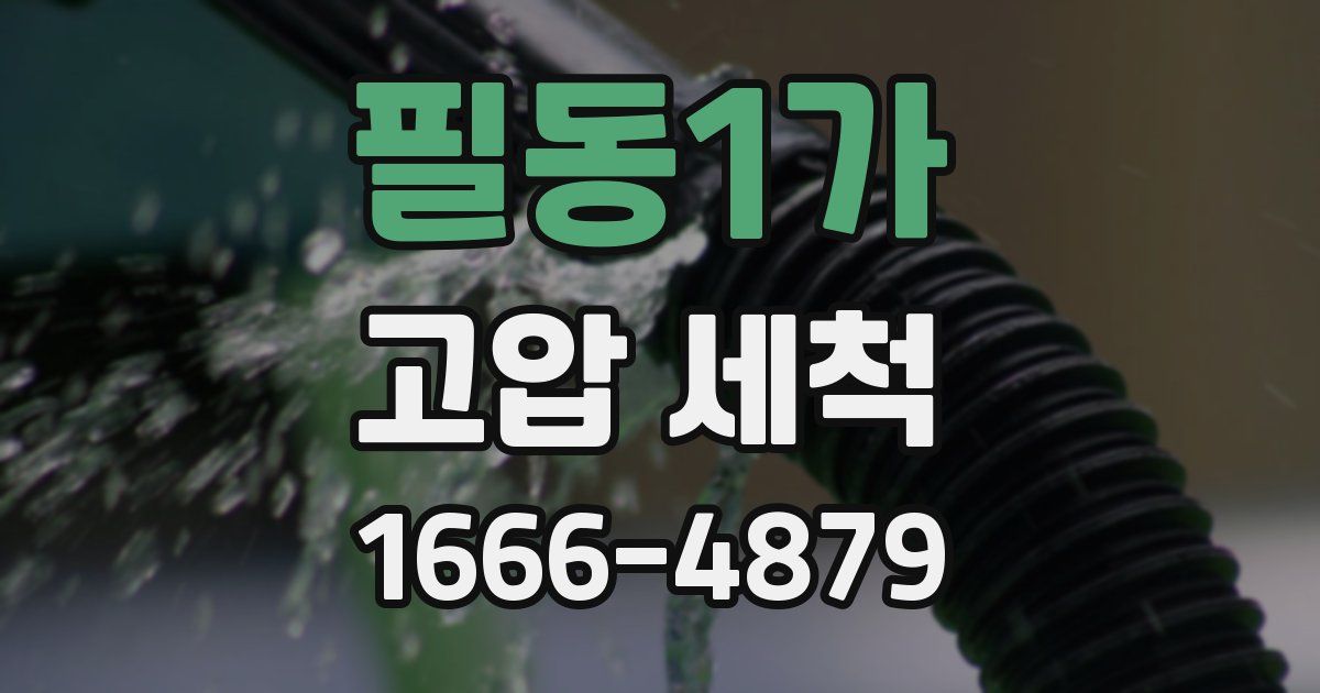 필동1가 고압 세척