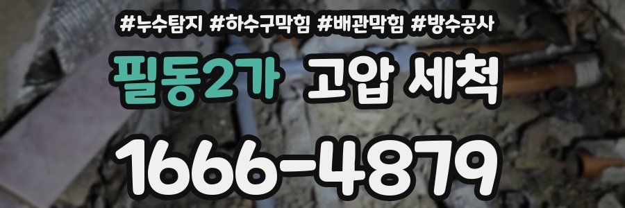 필동2가 고압 세척