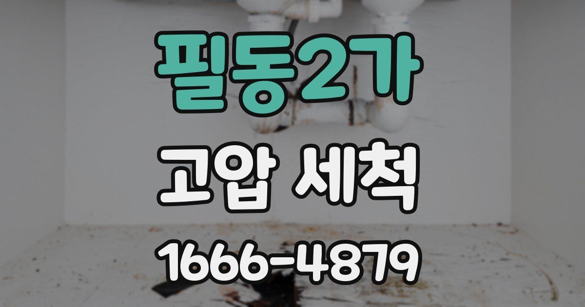 필동2가 고압 세척