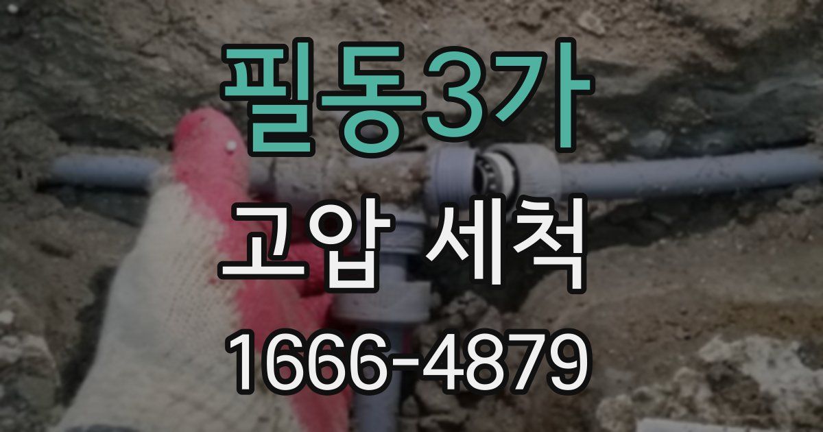 필동3가 고압 세척