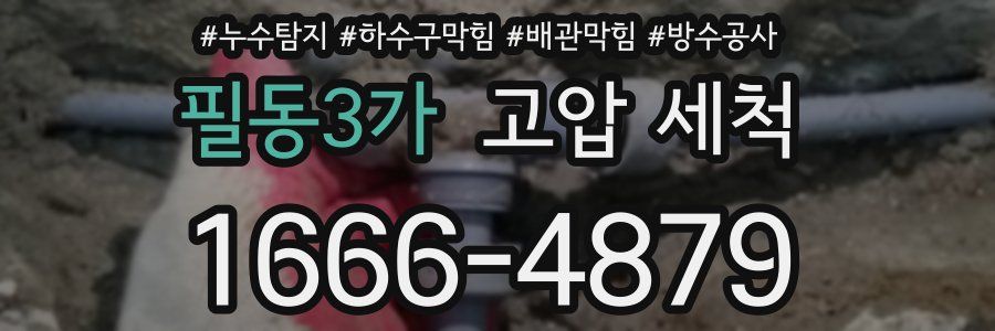 필동3가 고압 세척
