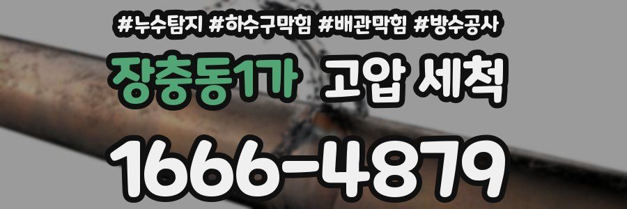 장충동1가 고압 세척