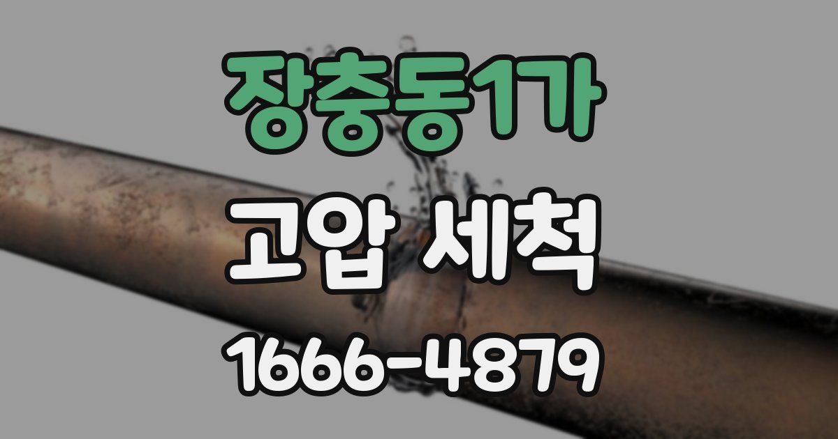 장충동1가 고압 세척