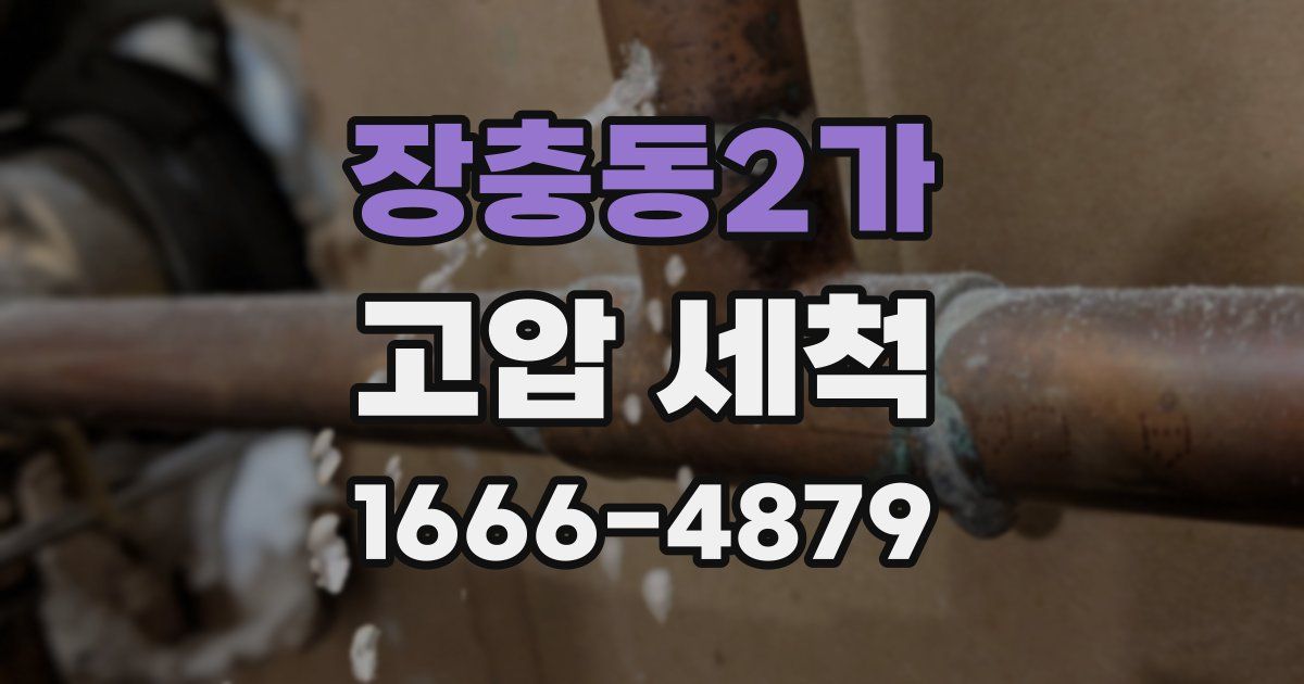 장충동2가 고압 세척
