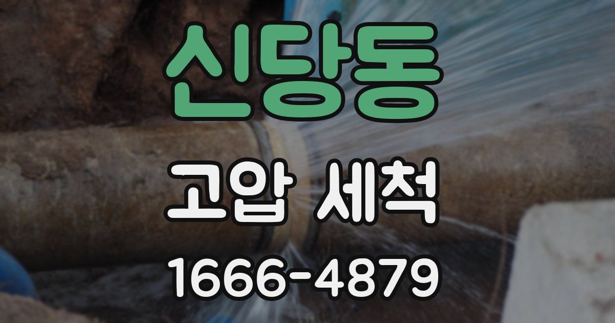 신당동 고압 세척