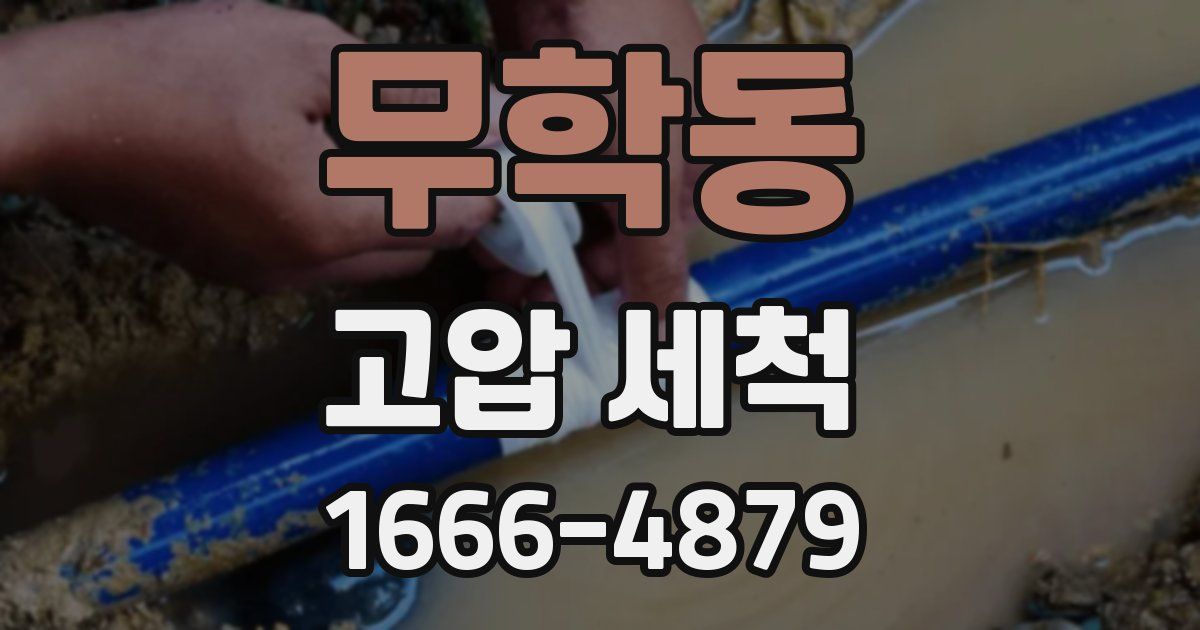 무학동 고압 세척