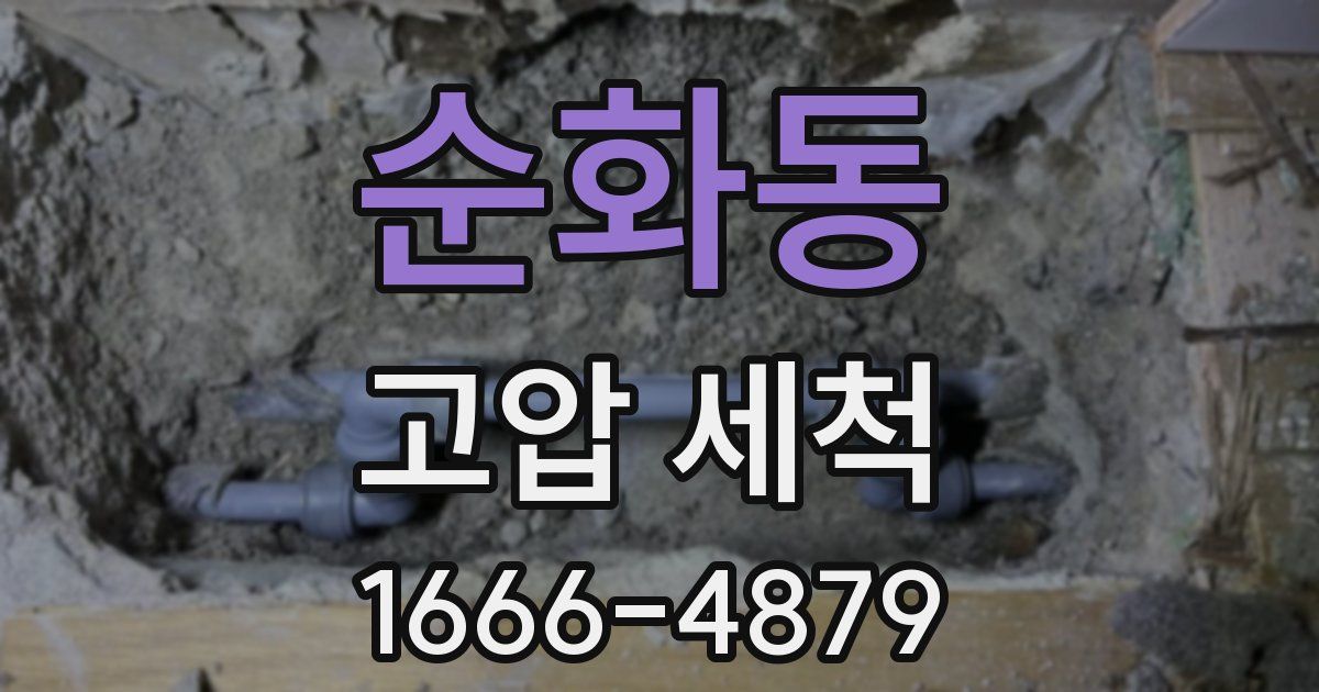 순화동 고압 세척