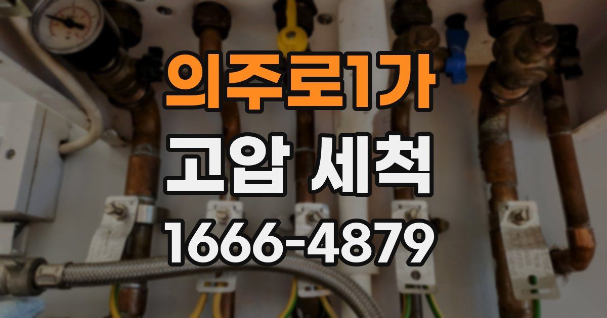 의주로1가 고압 세척