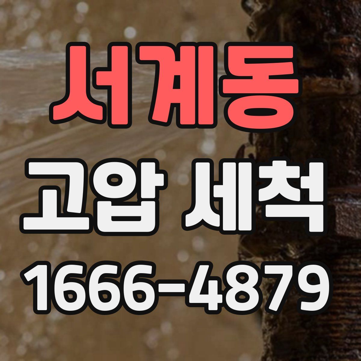 서계동 고압 세척