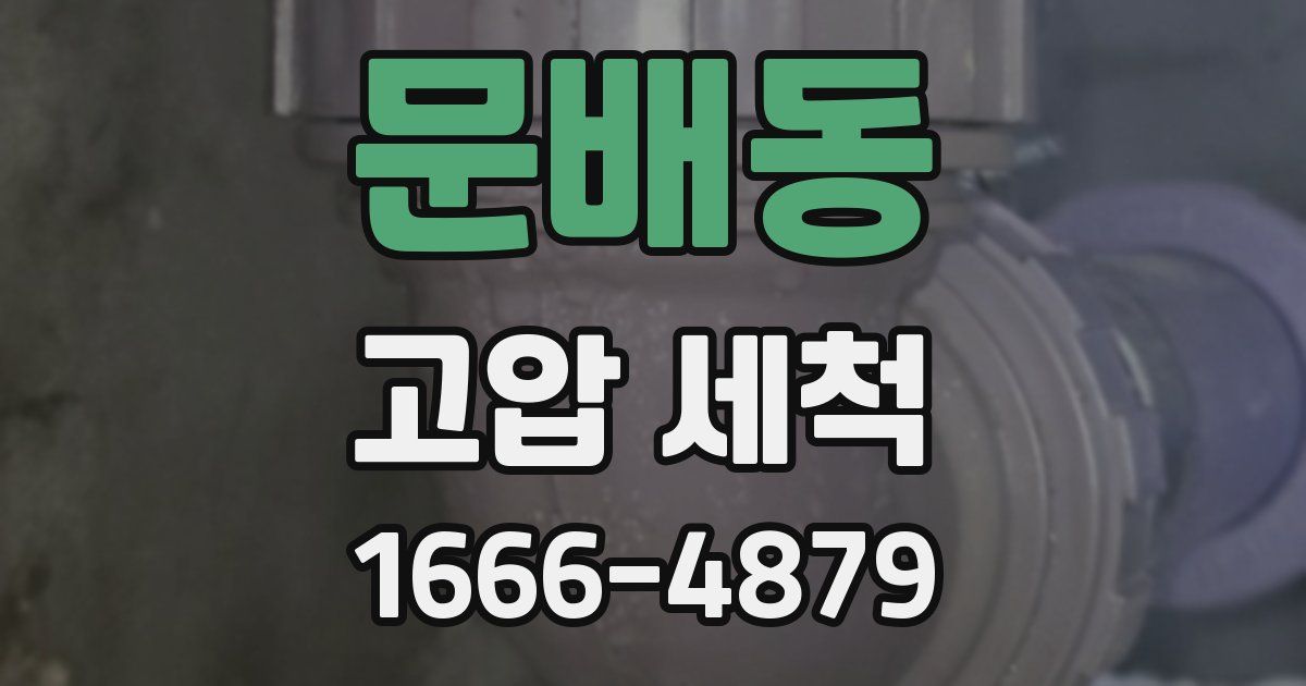 문배동 고압 세척