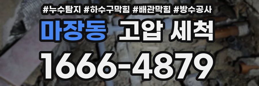 마장동 고압 세척