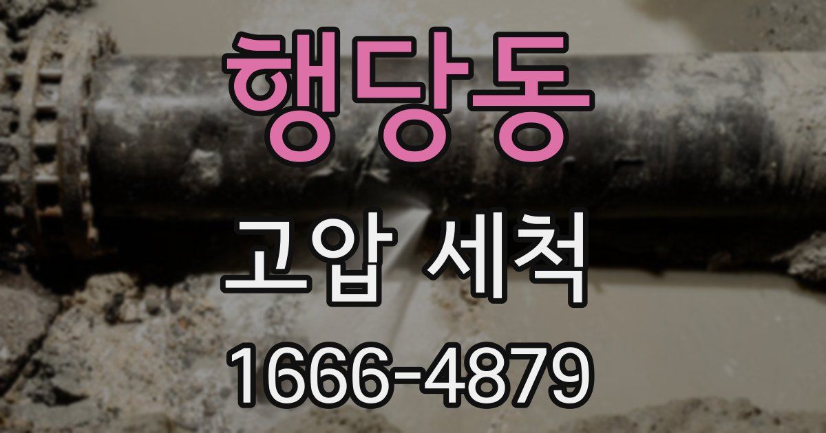 행당동 고압 세척
