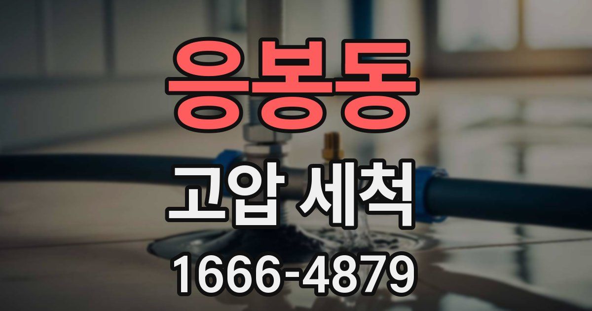 응봉동 고압 세척