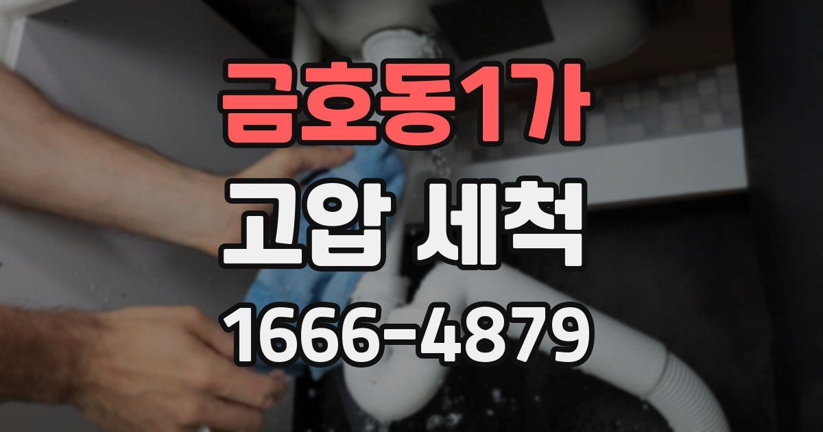 금호동1가 고압 세척