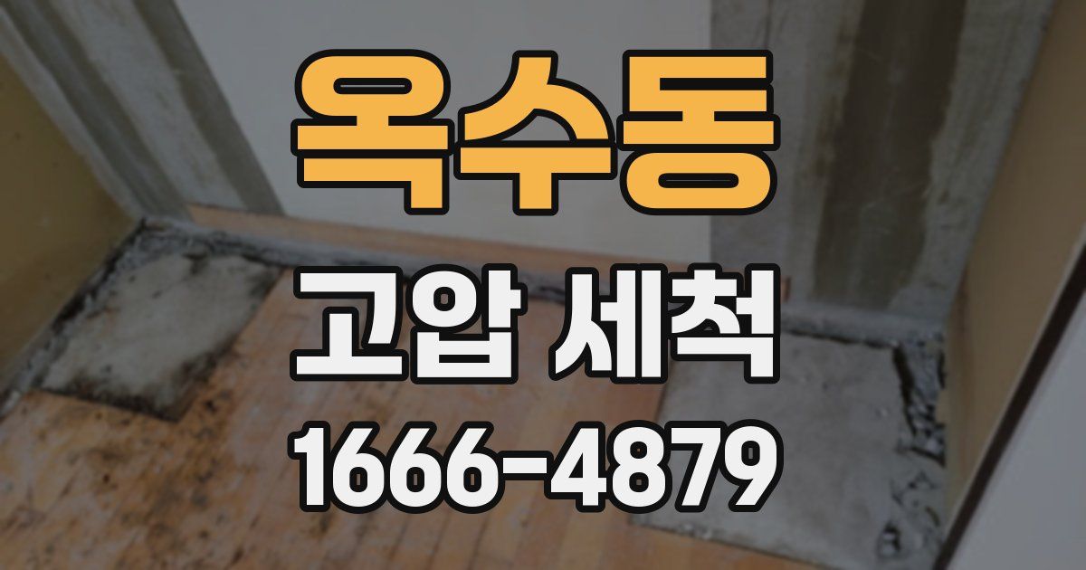 옥수동 고압 세척