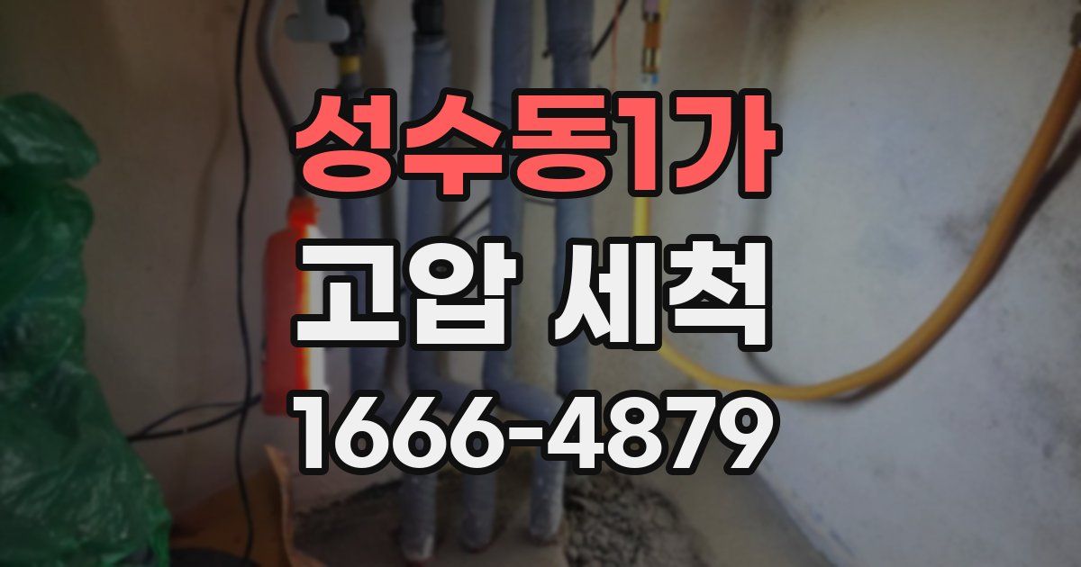 성수동1가 고압 세척
