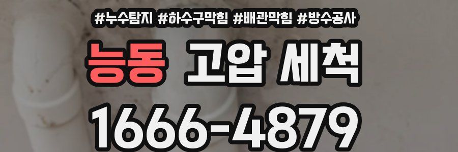 능동 고압 세척