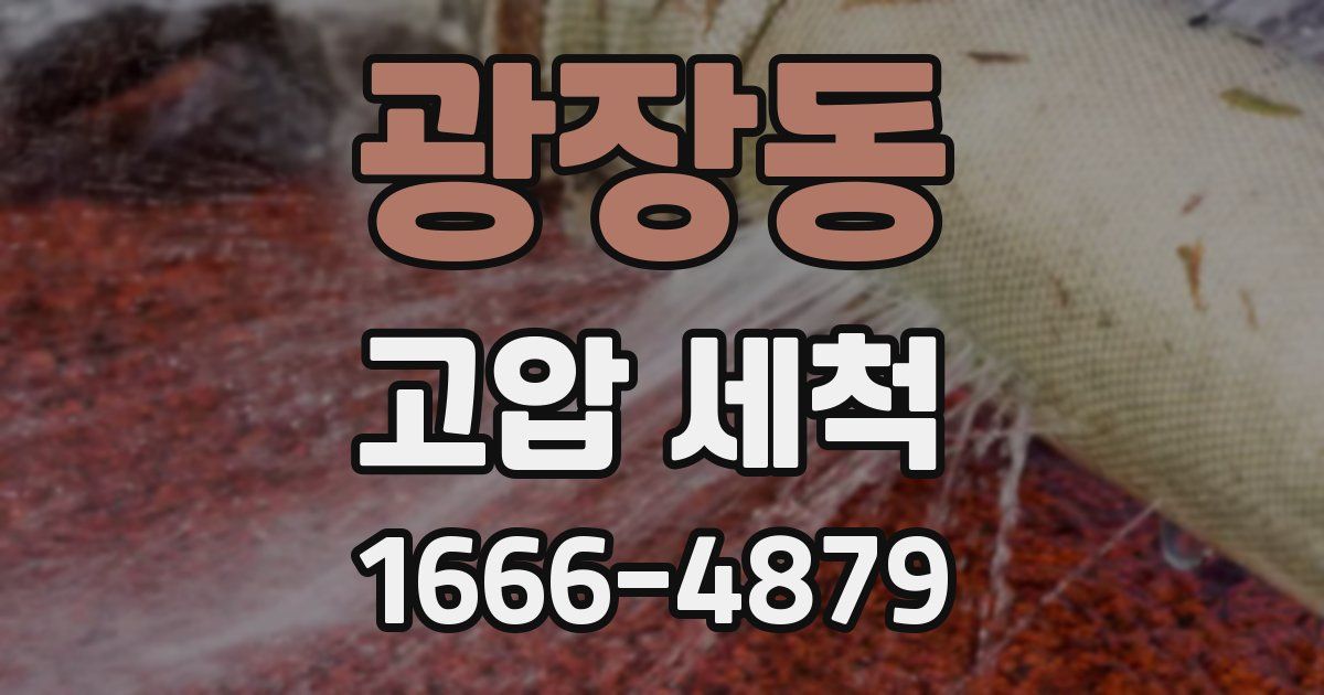광장동 고압 세척