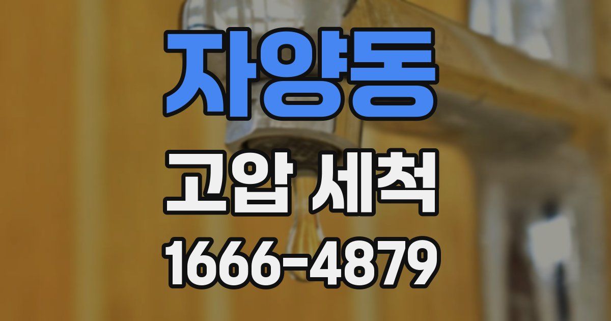 자양동 고압 세척