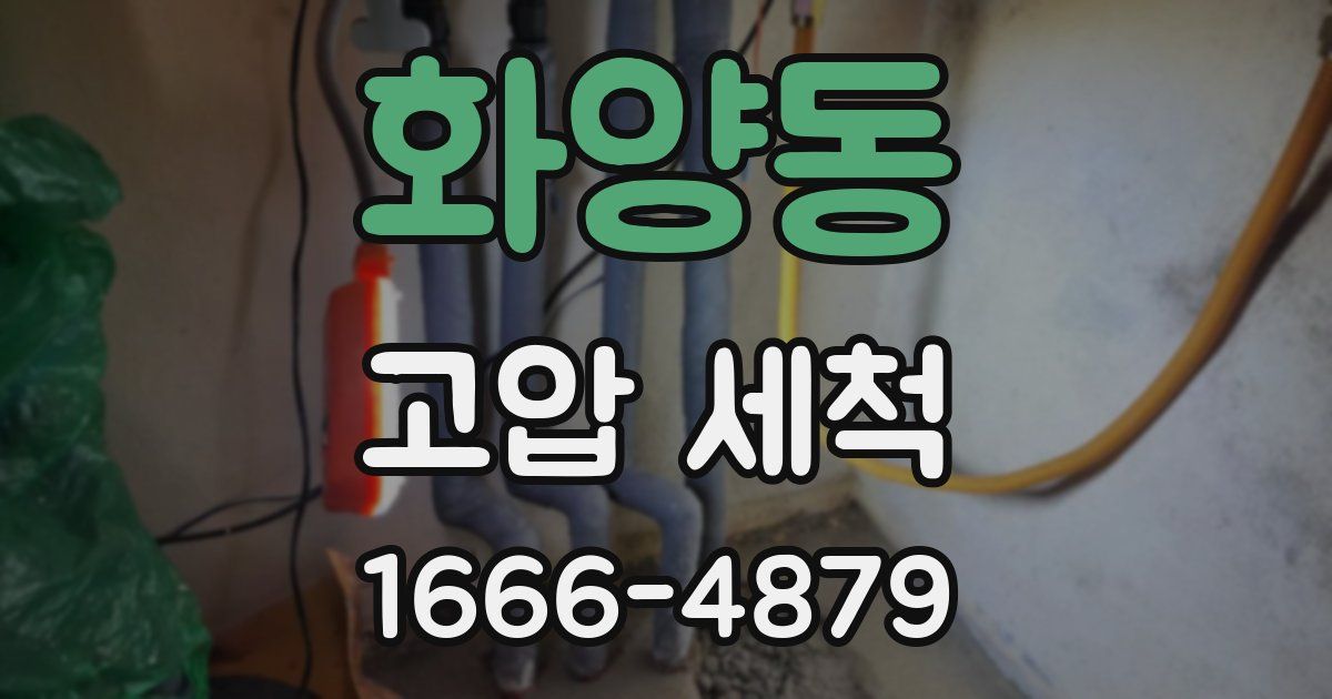 화양동 고압 세척