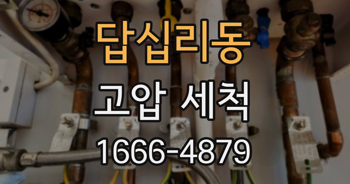 답십리동 고압 세척