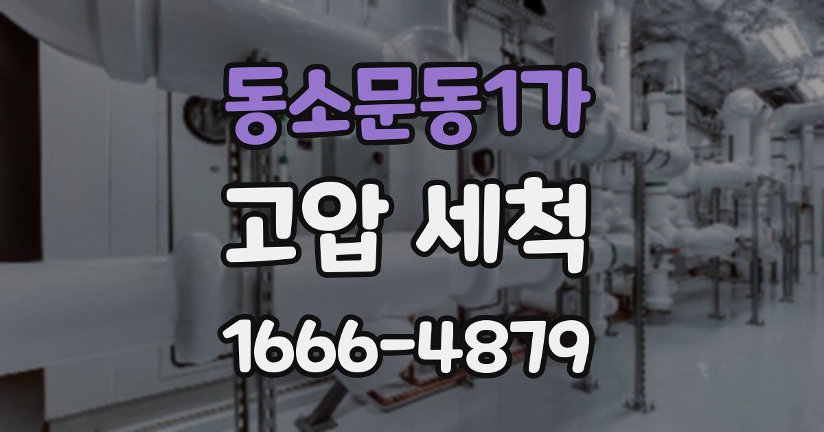 동소문동1가 고압 세척
