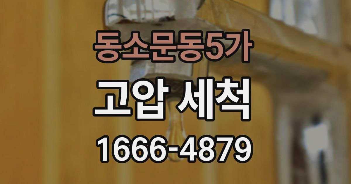 동소문동5가 고압 세척