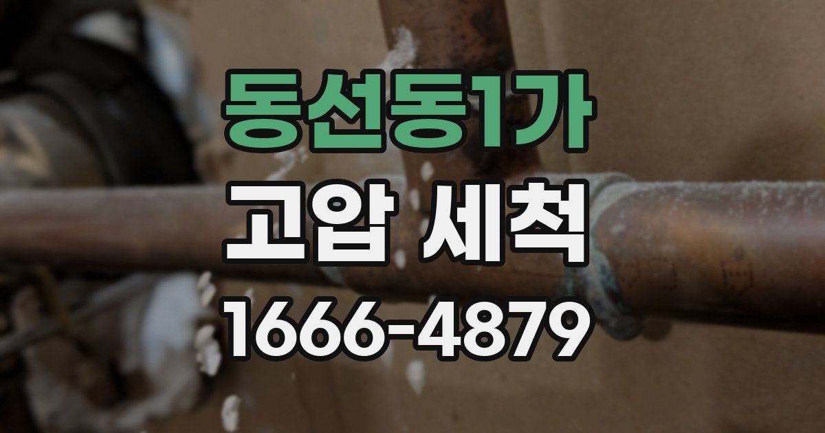 동선동1가 고압 세척