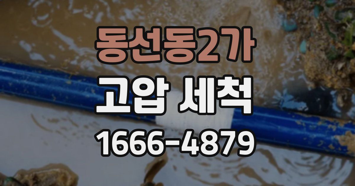 동선동2가 고압 세척