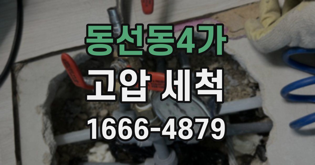 동선동4가 고압 세척